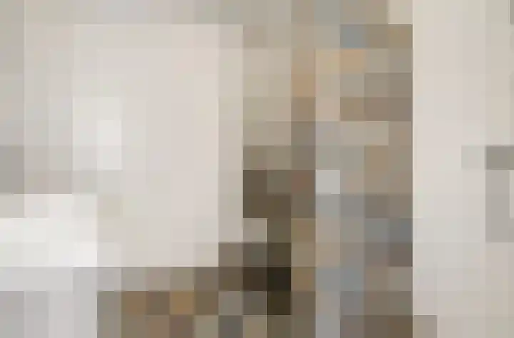 Druivengaarde 28 Dongen thumbnail 26