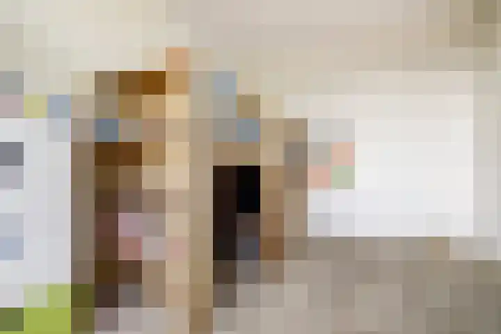 Druivengaarde 28 Dongen thumbnail 28