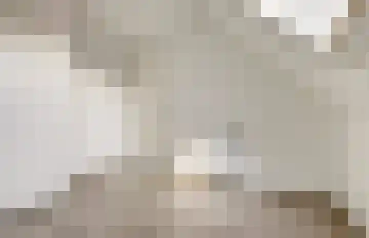 Druivengaarde 28 Dongen thumbnail 31