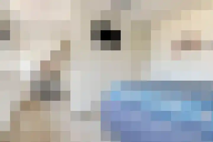 Druivengaarde 28 Dongen thumbnail 32