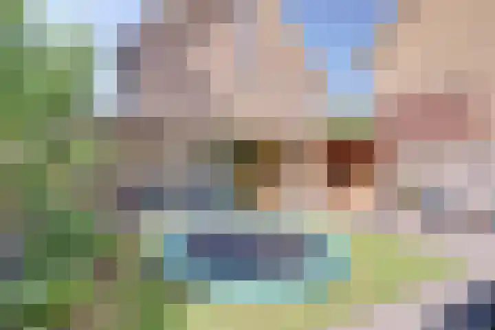 Druivengaarde 28 Dongen thumbnail 34