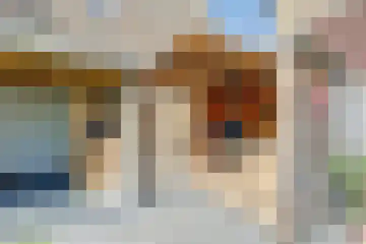 Druivengaarde 28 Dongen thumbnail 35