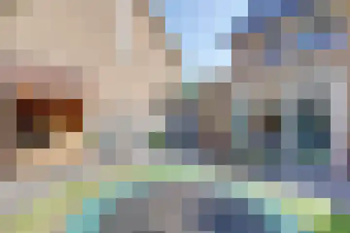 Druivengaarde 28 Dongen thumbnail 36
