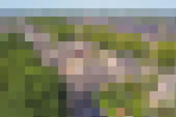 Druivengaarde 28 Dongen thumbnail 38