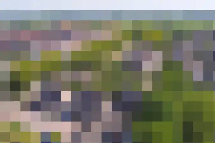 Druivengaarde 28 Dongen thumbnail 39
