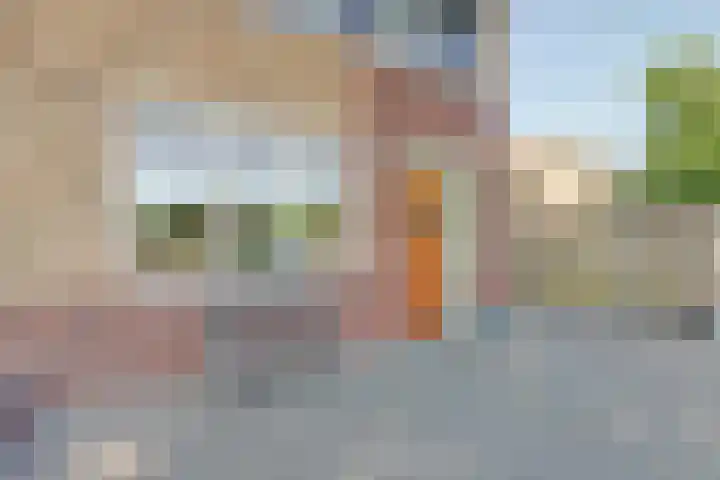 Druivengaarde 28 Dongen thumbnail 4