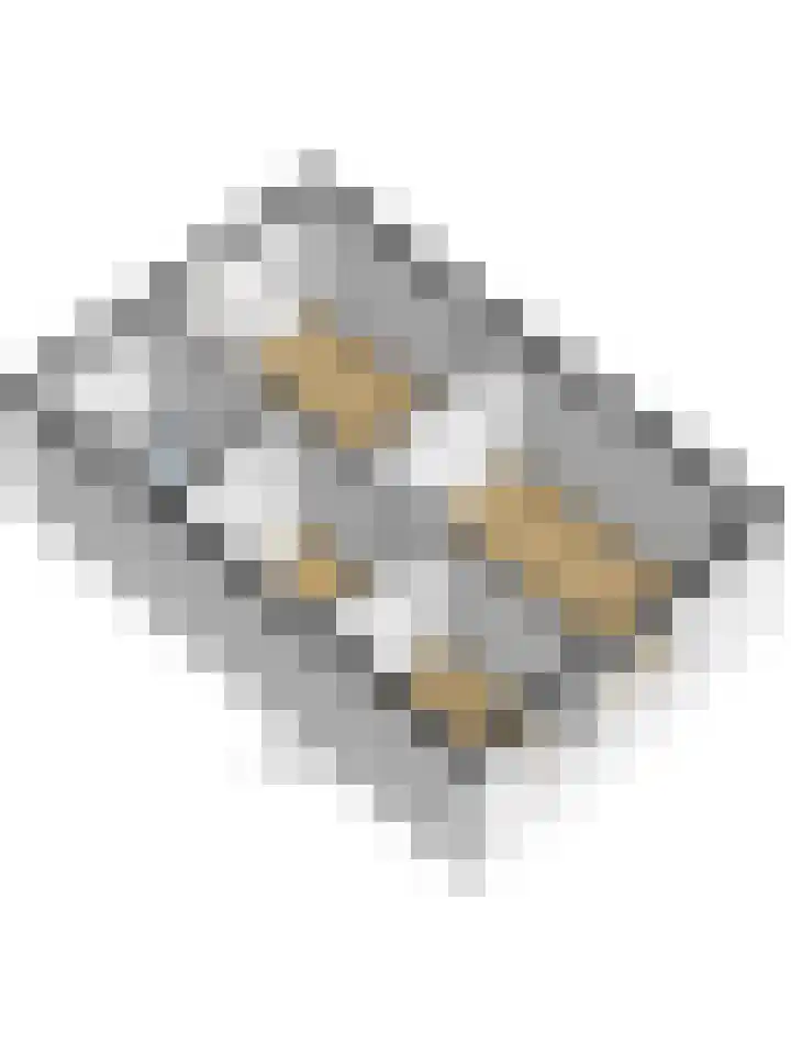 Druivengaarde 28 Dongen thumbnail 42