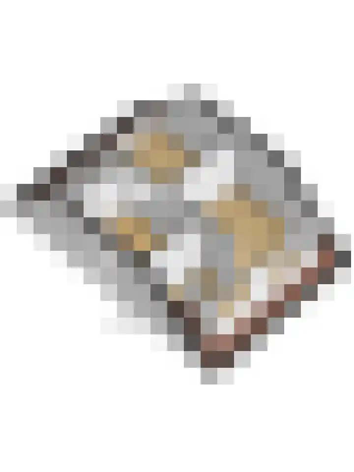Druivengaarde 28 Dongen thumbnail 43