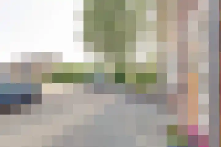 Druivengaarde 28 Dongen thumbnail 6