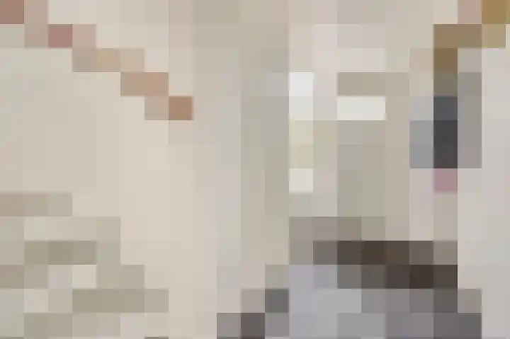 Druivengaarde 28 Dongen thumbnail 7