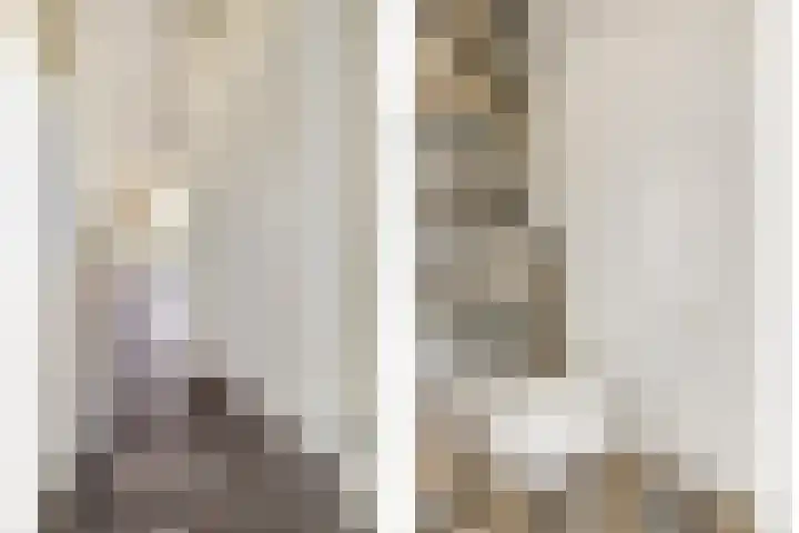 Druivengaarde 28 Dongen thumbnail 8