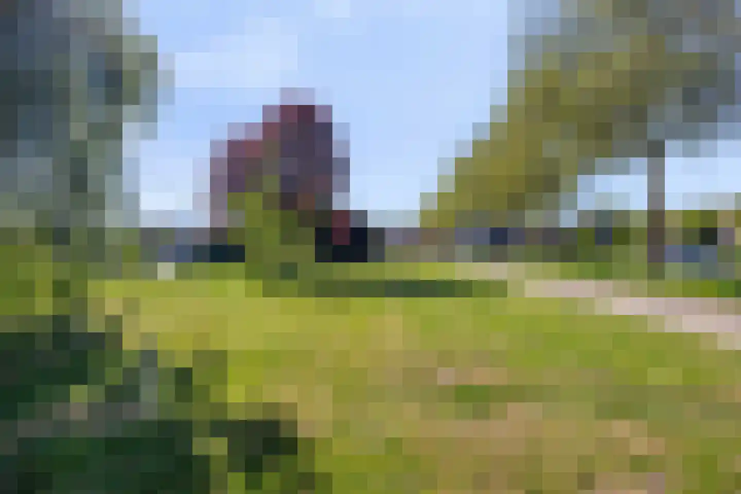 Druivengaarde 3 Schiedam thumbnail 31