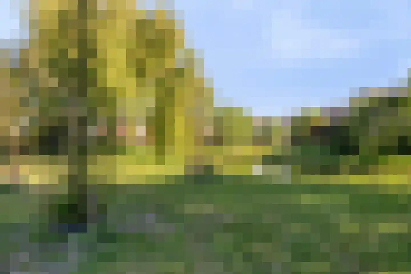 Druivengaarde 3 Schiedam thumbnail 32