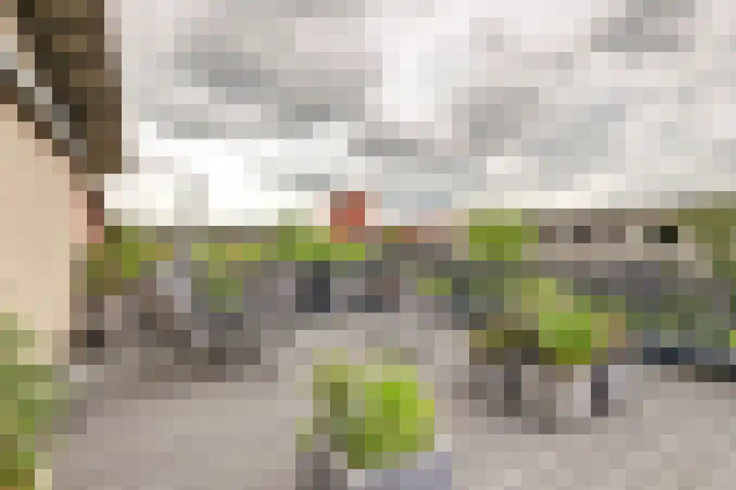 Druivengaarde 50 Hendrik-Ido-Ambacht thumbnail 33