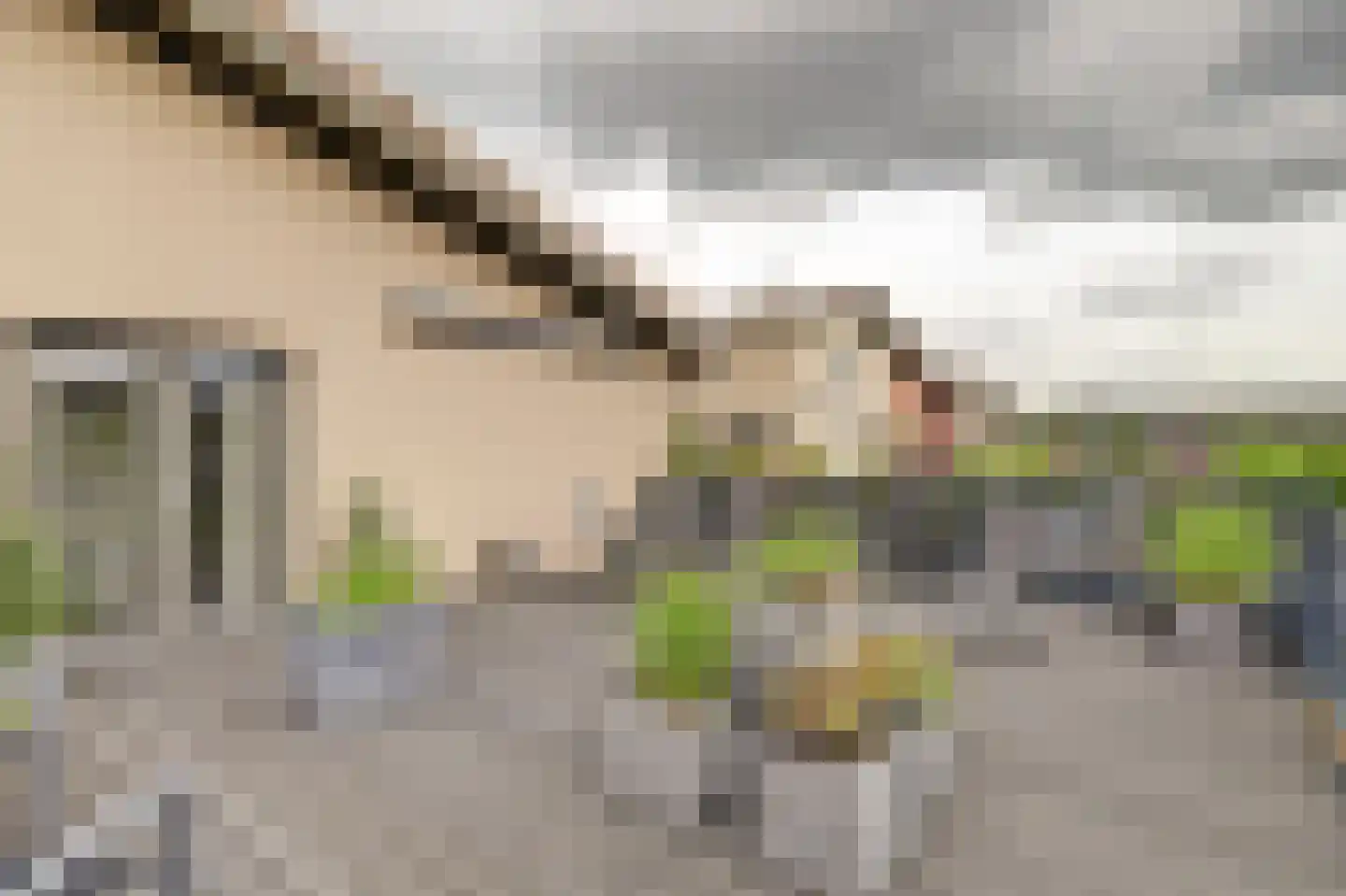 Druivengaarde 50 Hendrik-Ido-Ambacht thumbnail 34