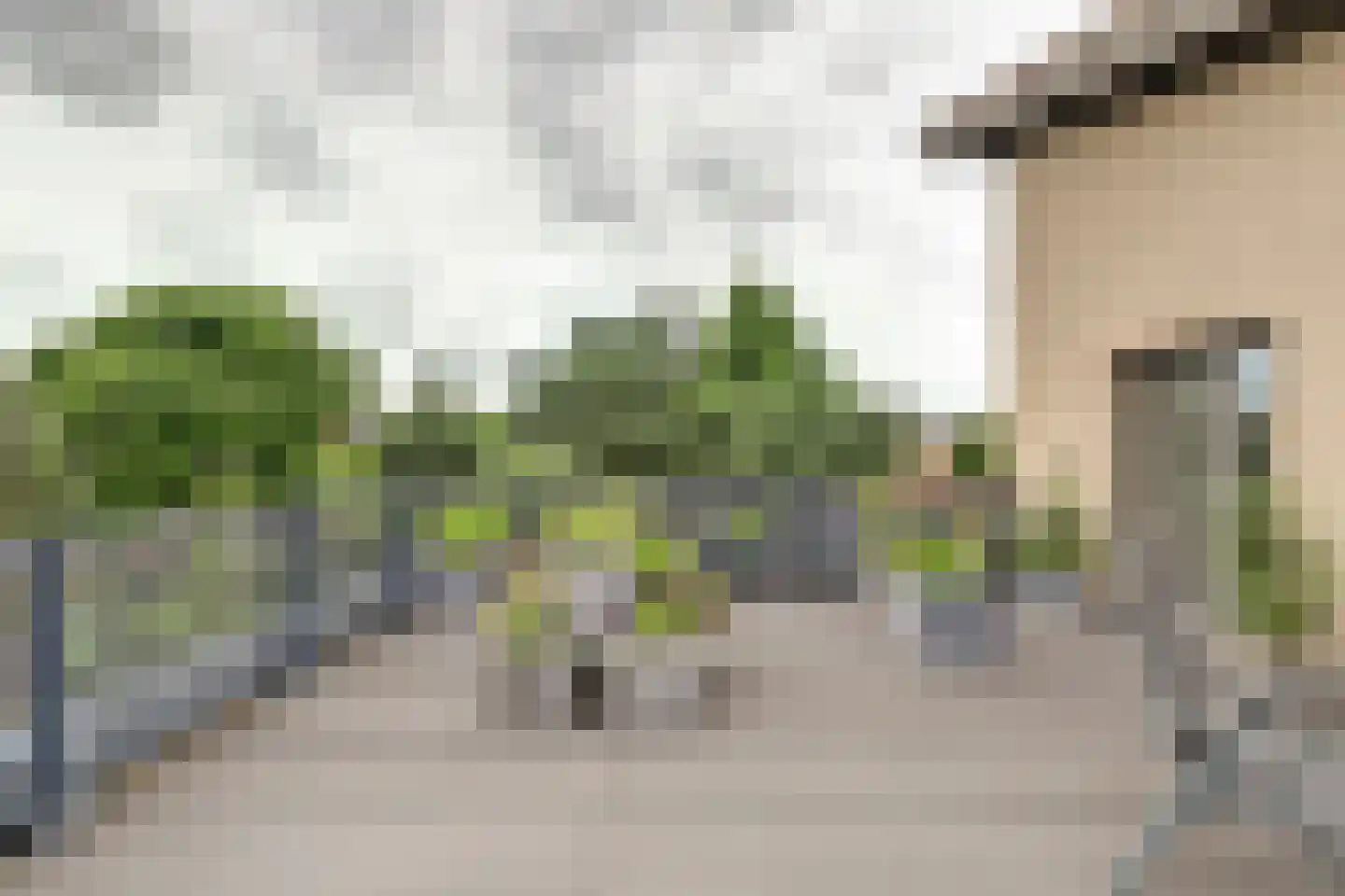Druivengaarde 50 Hendrik-Ido-Ambacht thumbnail 36