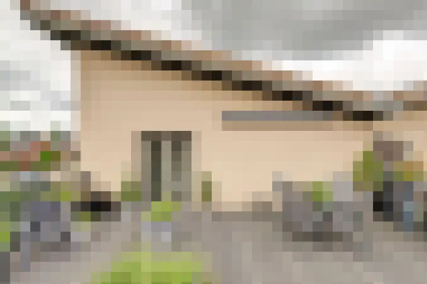 Druivengaarde 50 Hendrik-Ido-Ambacht thumbnail 37