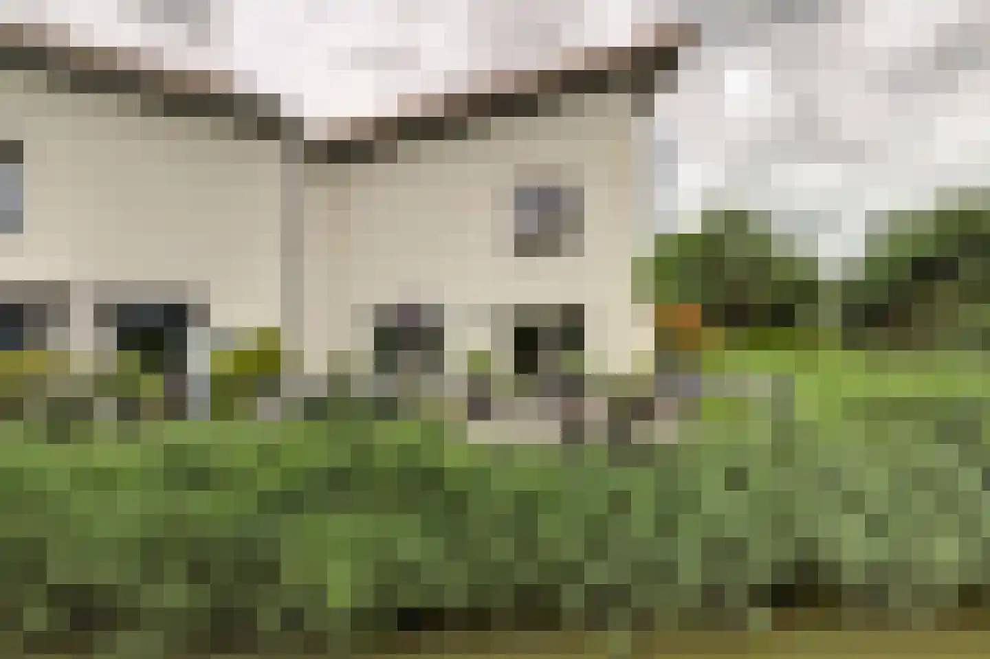 Druivengaarde 50 Hendrik-Ido-Ambacht thumbnail 4