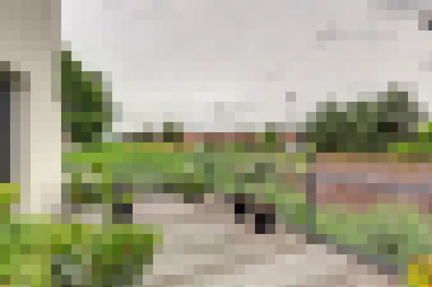 Druivengaarde 50 Hendrik-Ido-Ambacht thumbnail 48