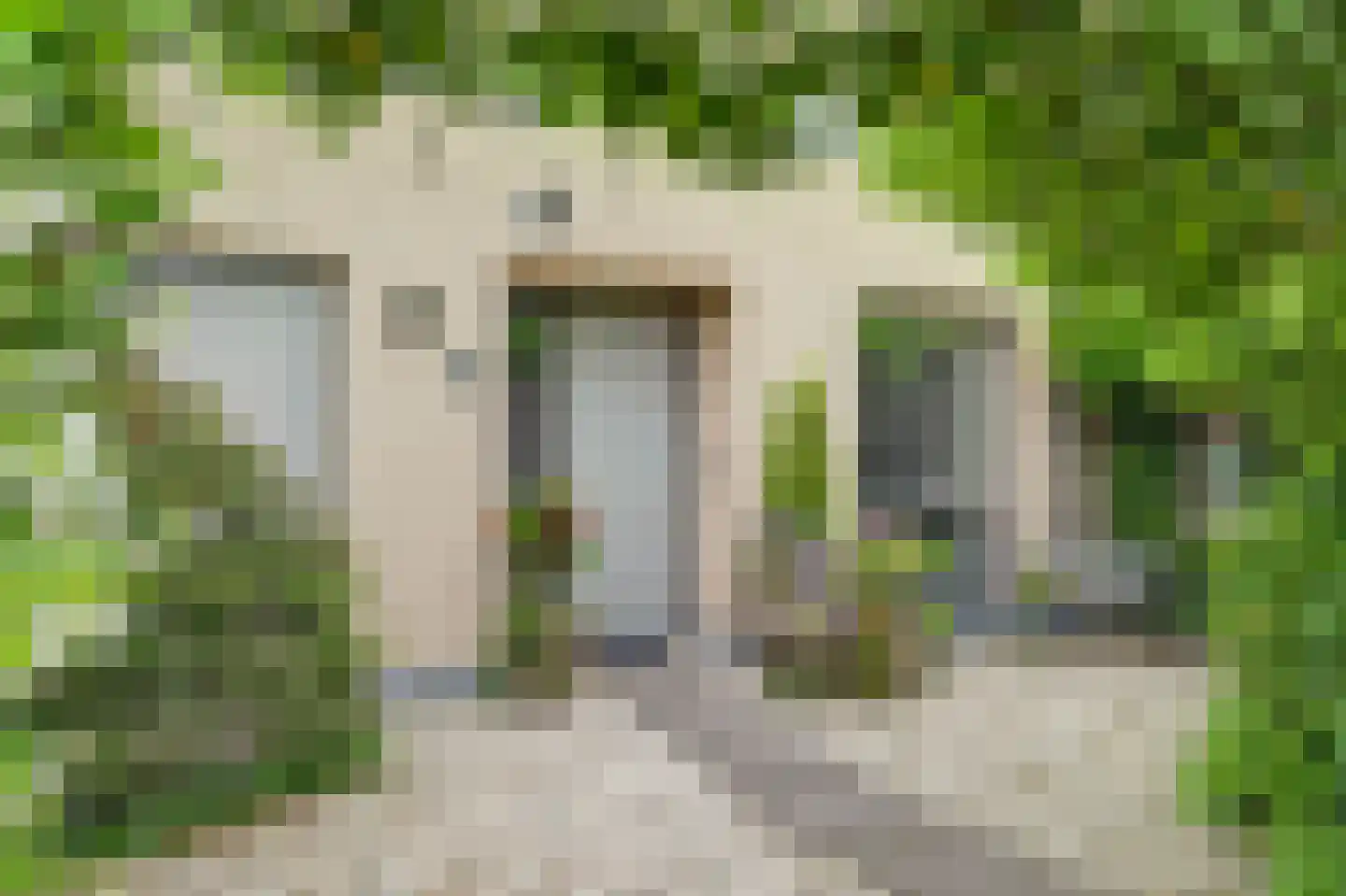 Druivengaarde 50 Hendrik-Ido-Ambacht thumbnail 5