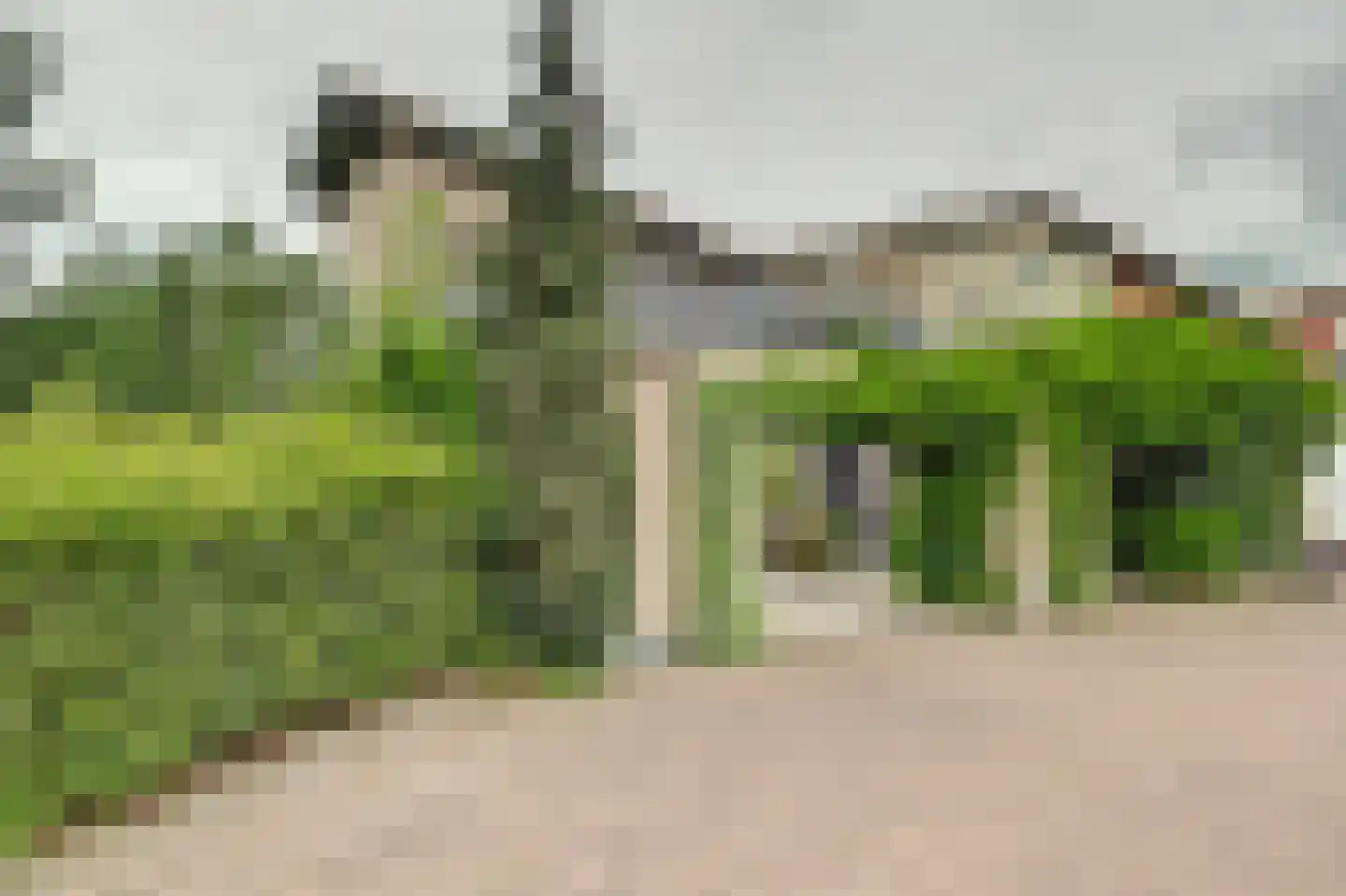 Druivengaarde 50 Hendrik-Ido-Ambacht thumbnail 57