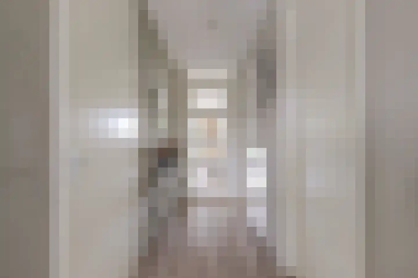 Druivengaarde 50 Hendrik-Ido-Ambacht thumbnail 6