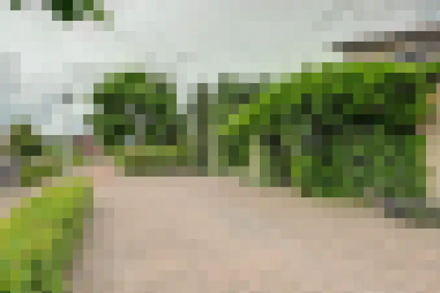 Druivengaarde 50 Hendrik-Ido-Ambacht thumbnail 60