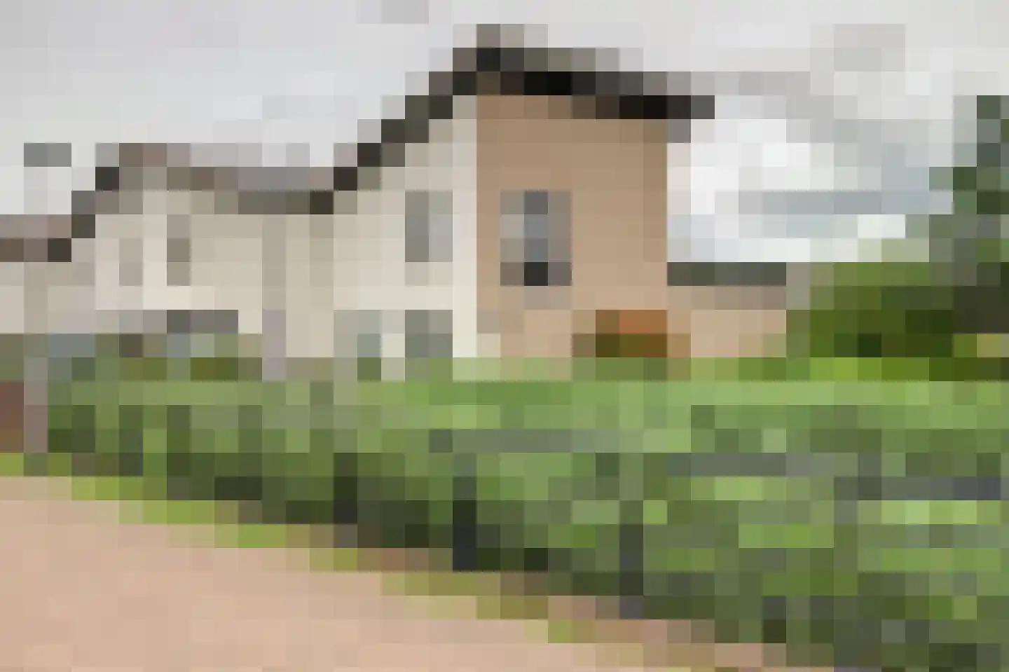 Druivengaarde 50 Hendrik-Ido-Ambacht thumbnail 62