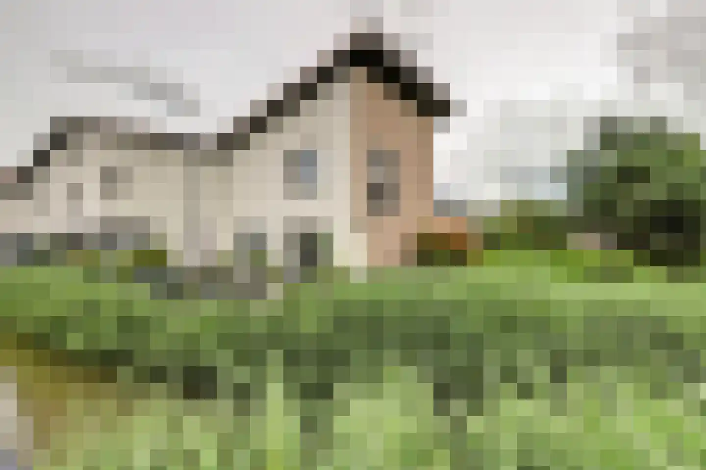 Druivengaarde 50 Hendrik-Ido-Ambacht thumbnail 63