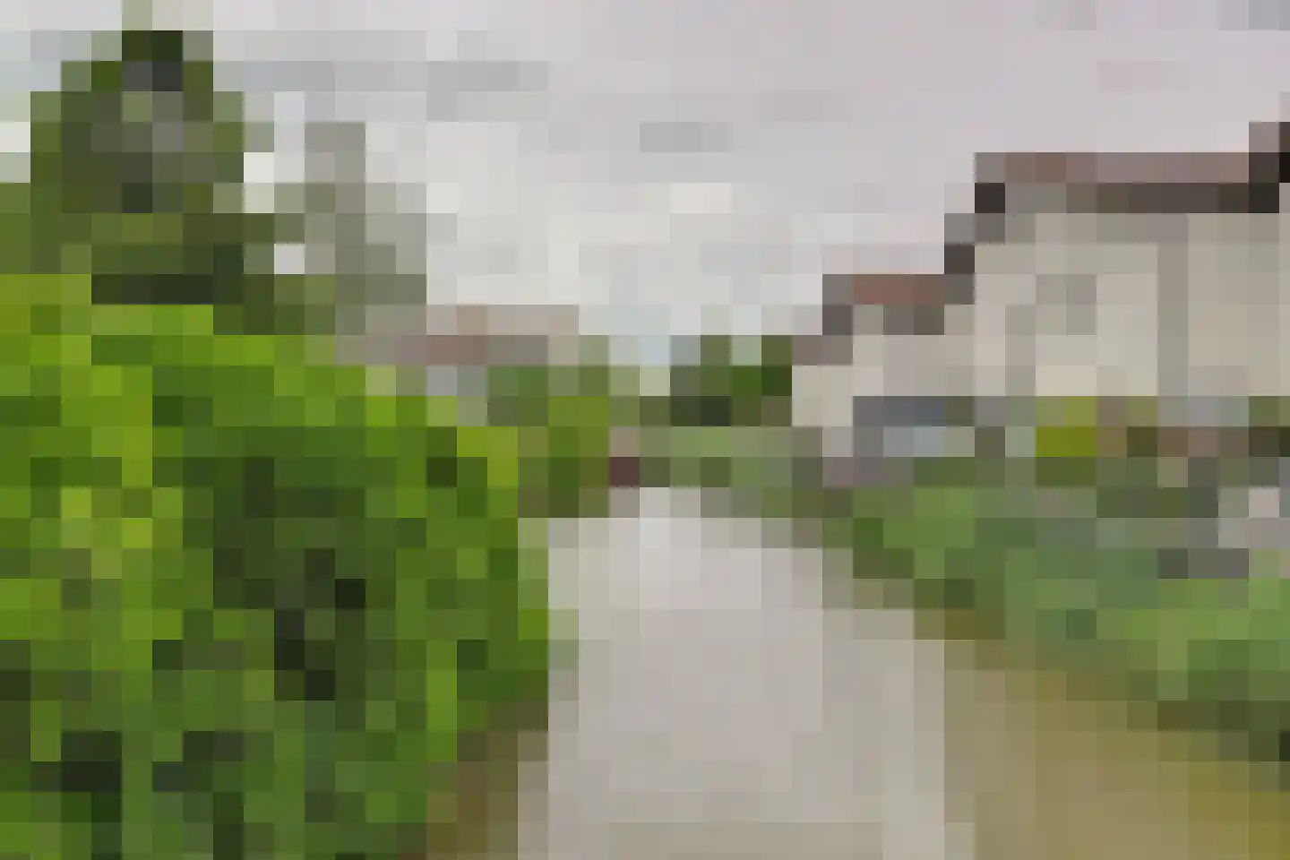Druivengaarde 50 Hendrik-Ido-Ambacht thumbnail 64