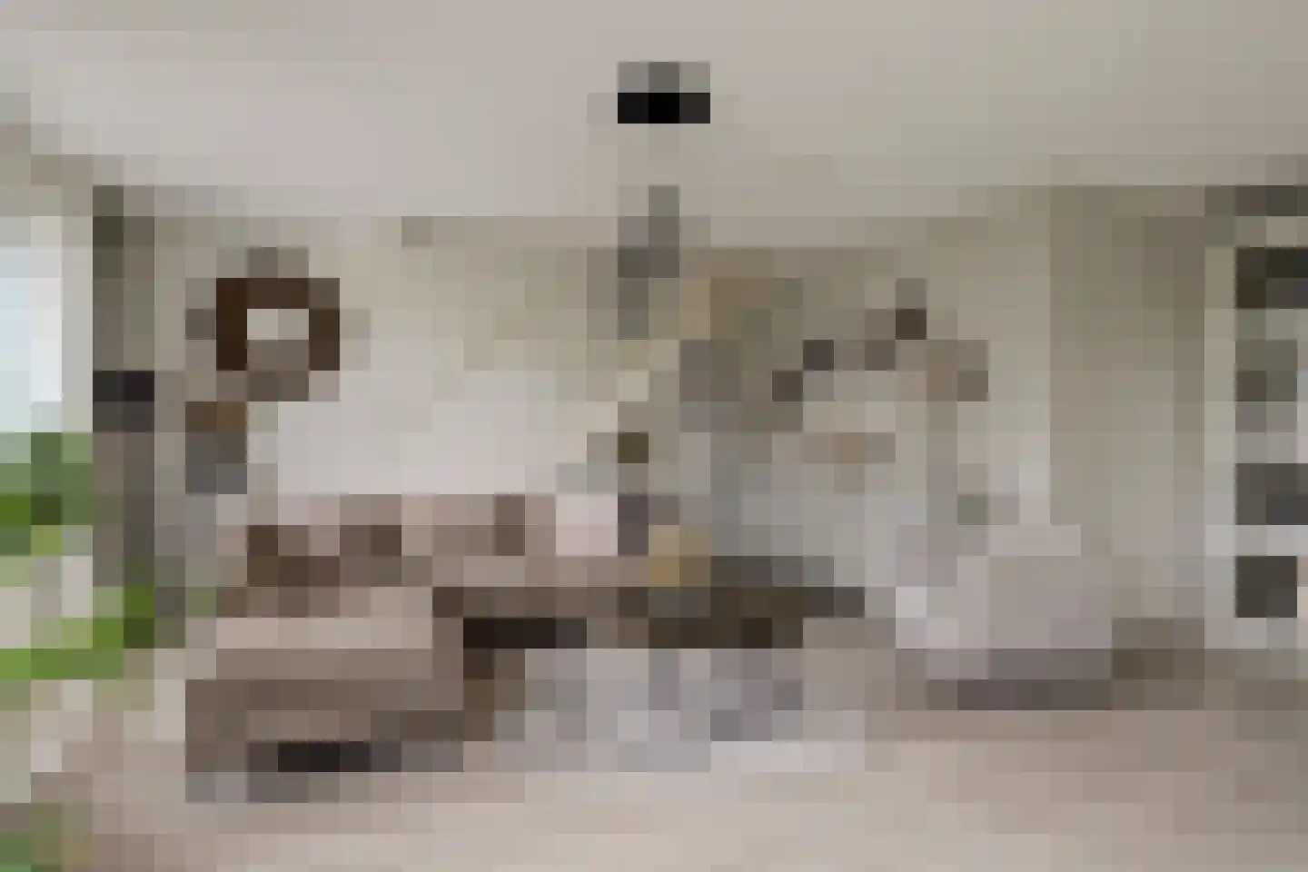 Druivengaarde 50 Hendrik-Ido-Ambacht thumbnail 8