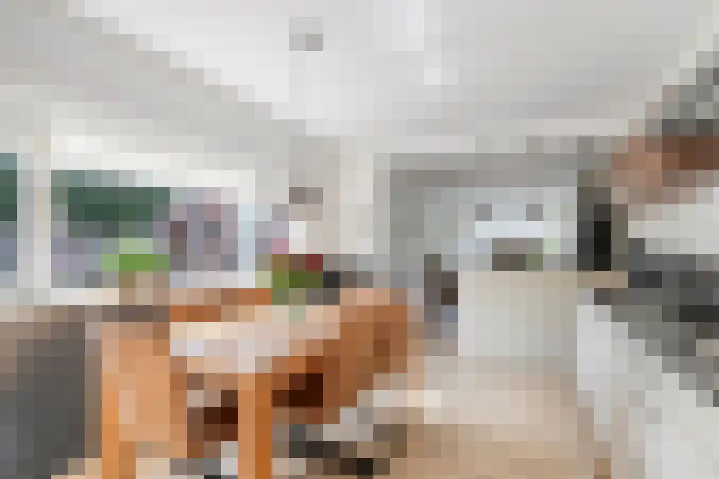 Druivenkamp 23 Scherpenzeel thumbnail 13