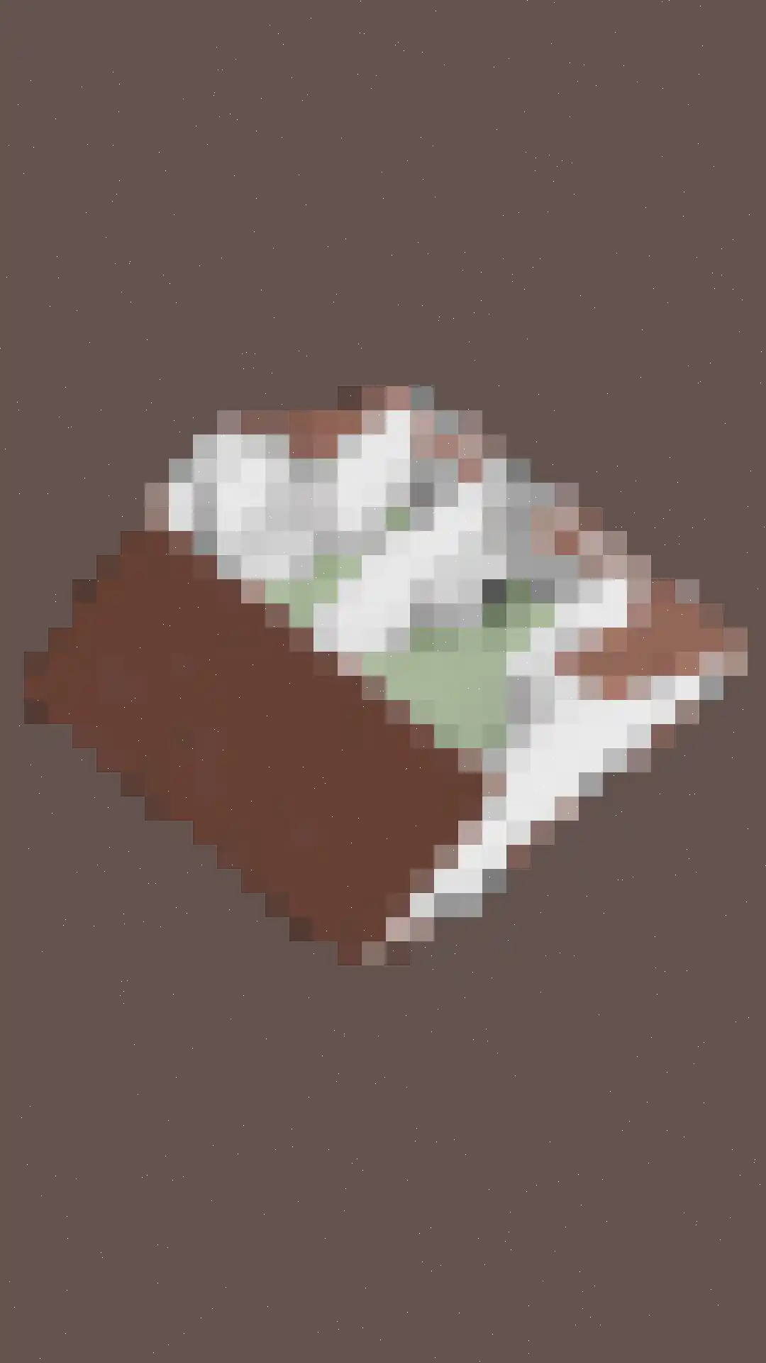 Druivenkamp 23 Scherpenzeel thumbnail 44