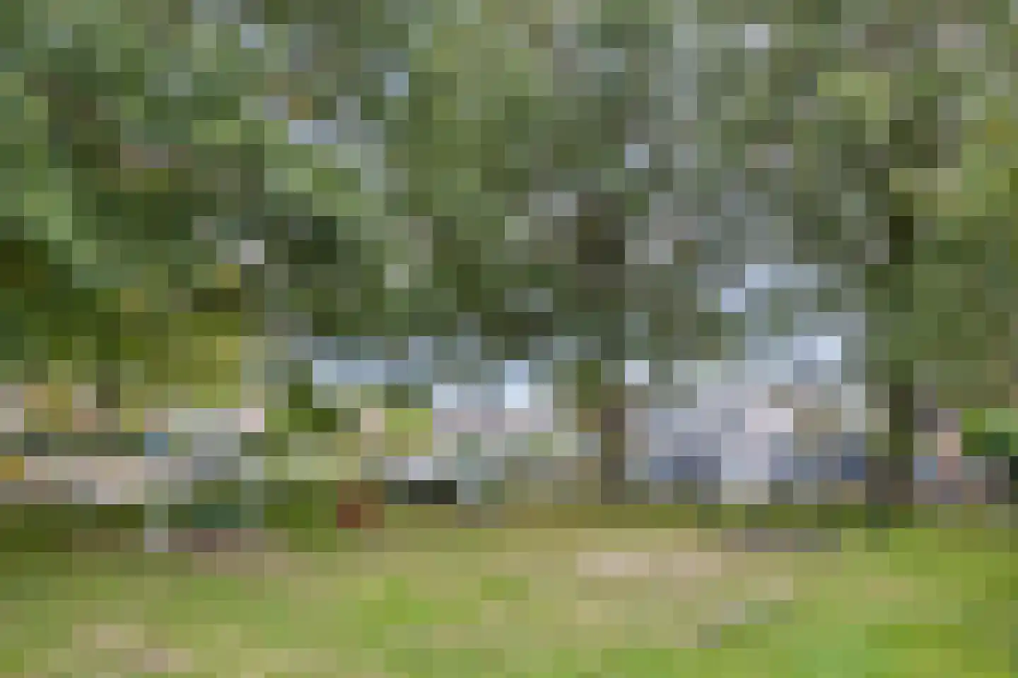 Druivenkas 15 Vught thumbnail 15
