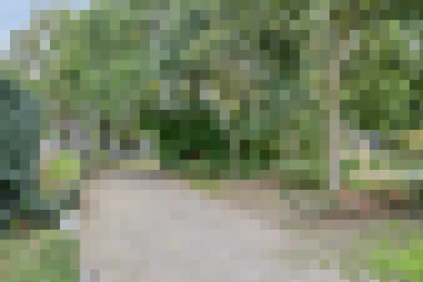 Druivenkas 15 Vught thumbnail 20