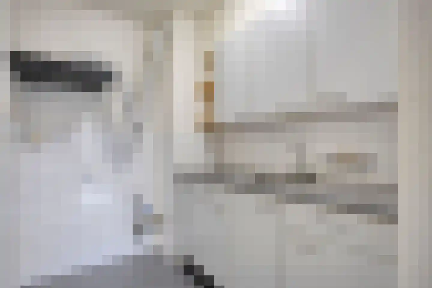 Druivenkas 15 Vught thumbnail 6