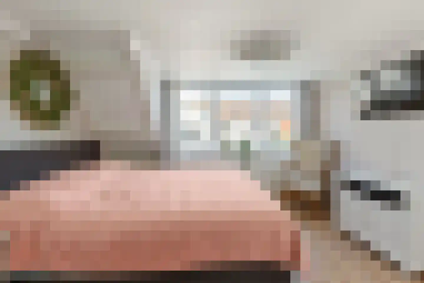 Druivenlaan 25 Alkmaar thumbnail 16