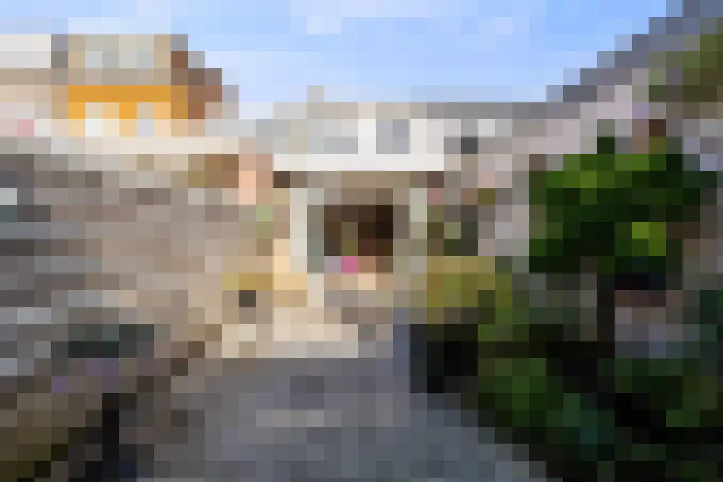 Druivenlaan 25 Alkmaar thumbnail 22