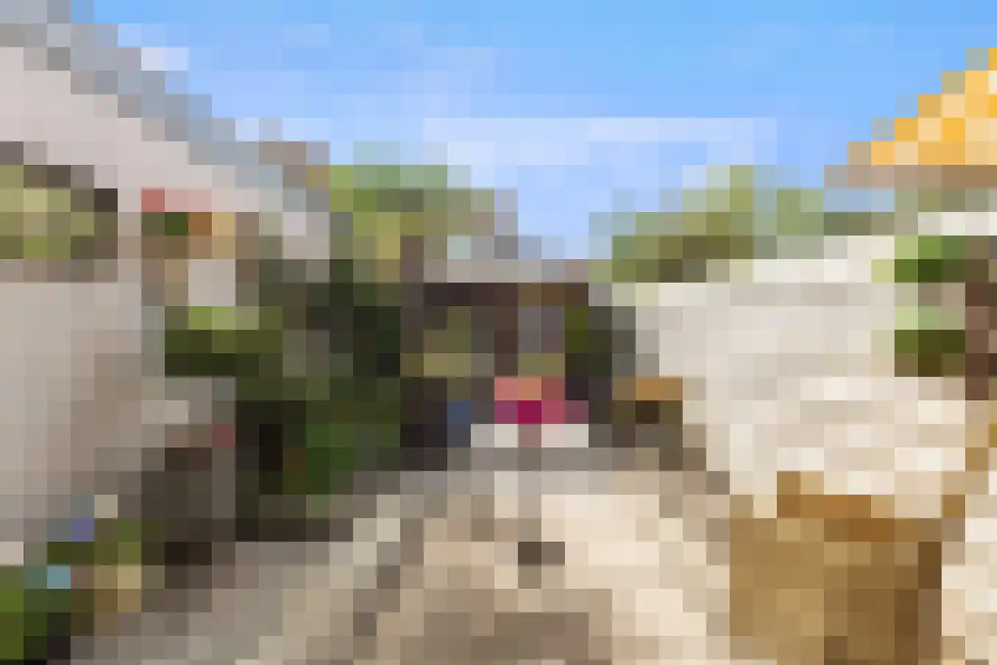 Druivenlaan 25 Alkmaar thumbnail 23
