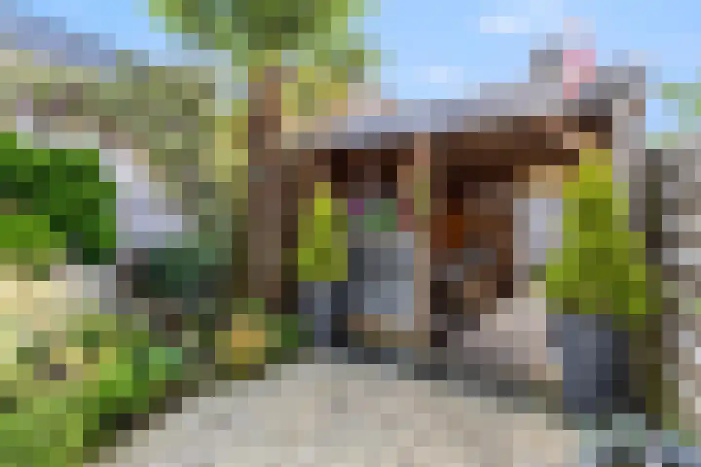 Druivenlaan 25 Alkmaar thumbnail 24