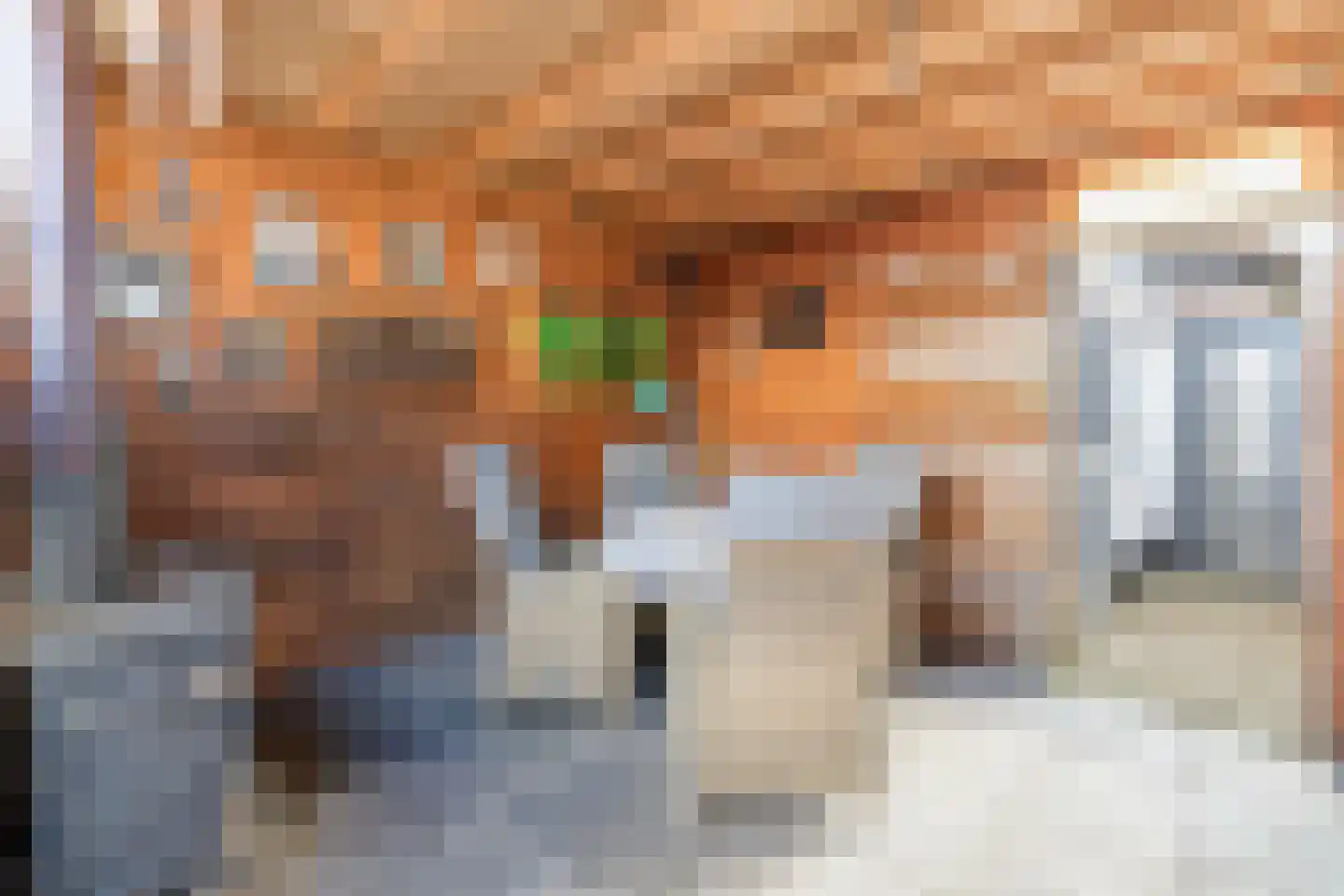 Druivenlaan 25 Alkmaar thumbnail 25