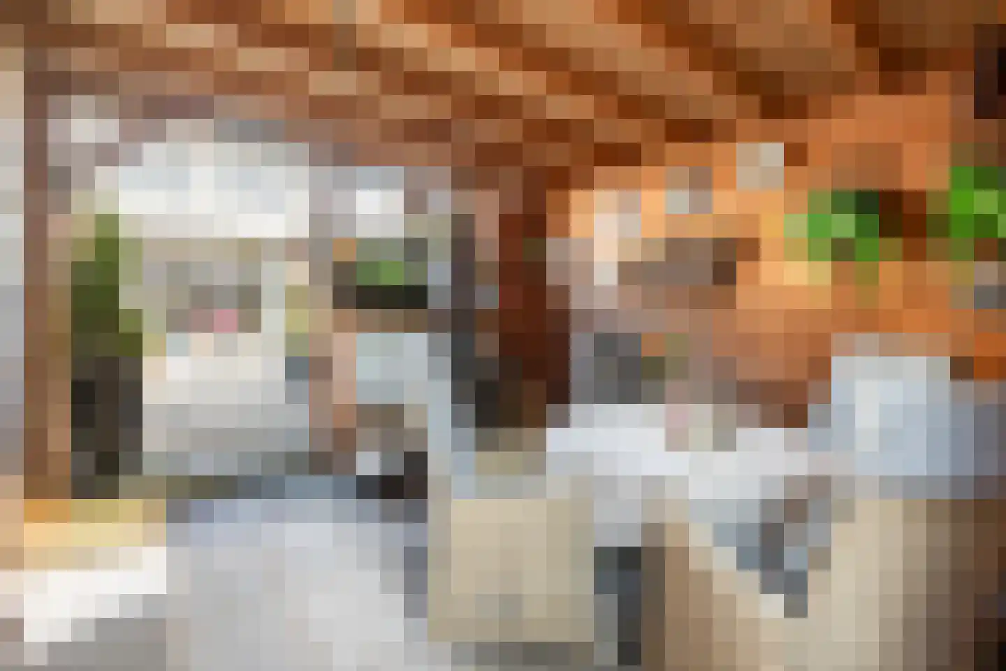Druivenlaan 25 Alkmaar thumbnail 26