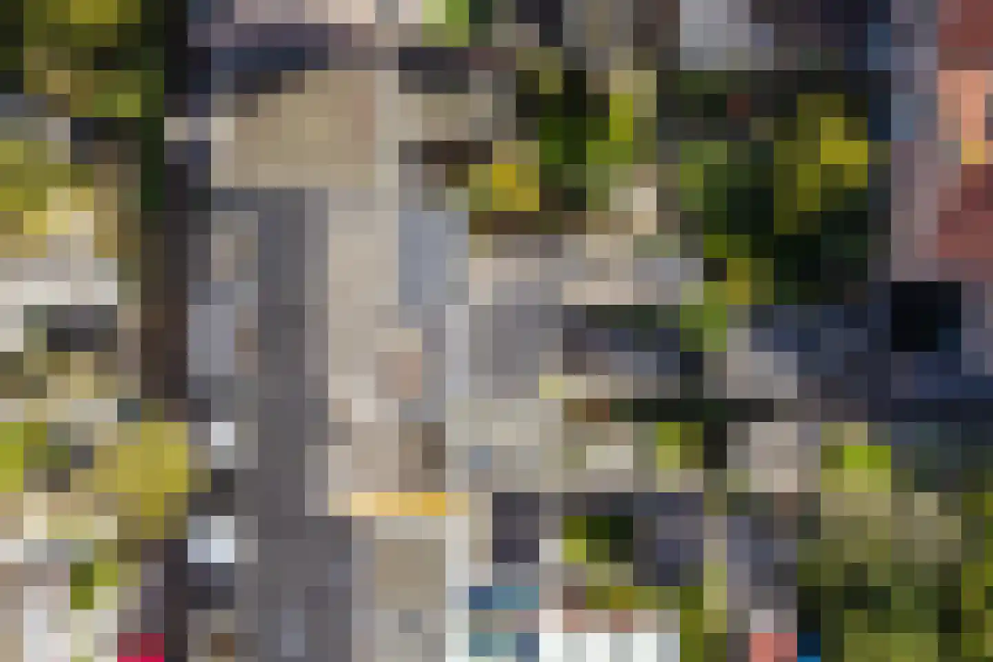 Druivenlaan 25 Alkmaar thumbnail 30