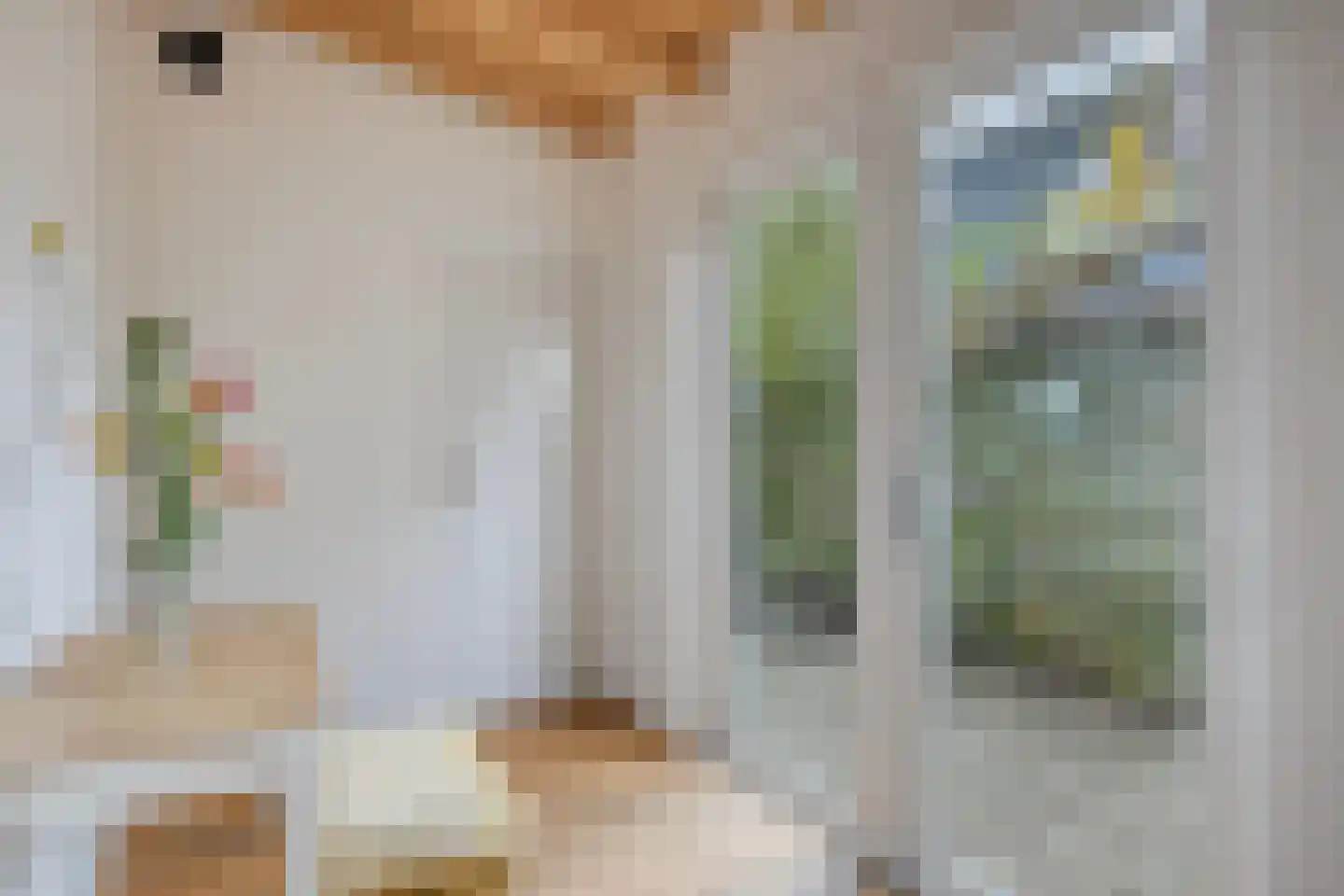 Druivenlaan 28 Alkmaar thumbnail 20