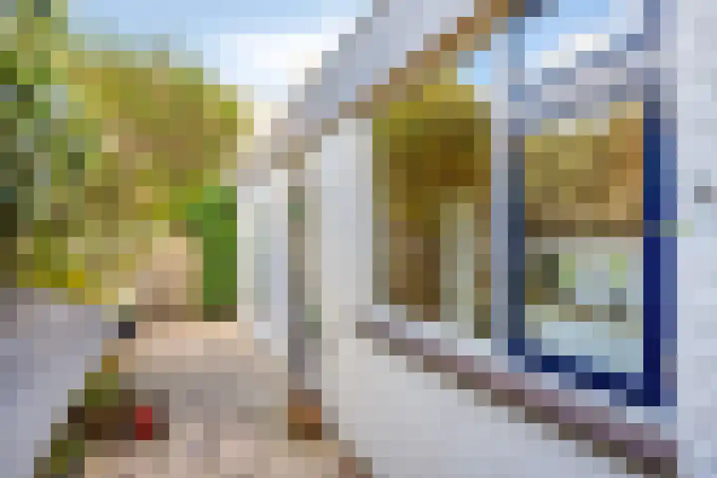 Druivenlaan 28 Alkmaar thumbnail 23
