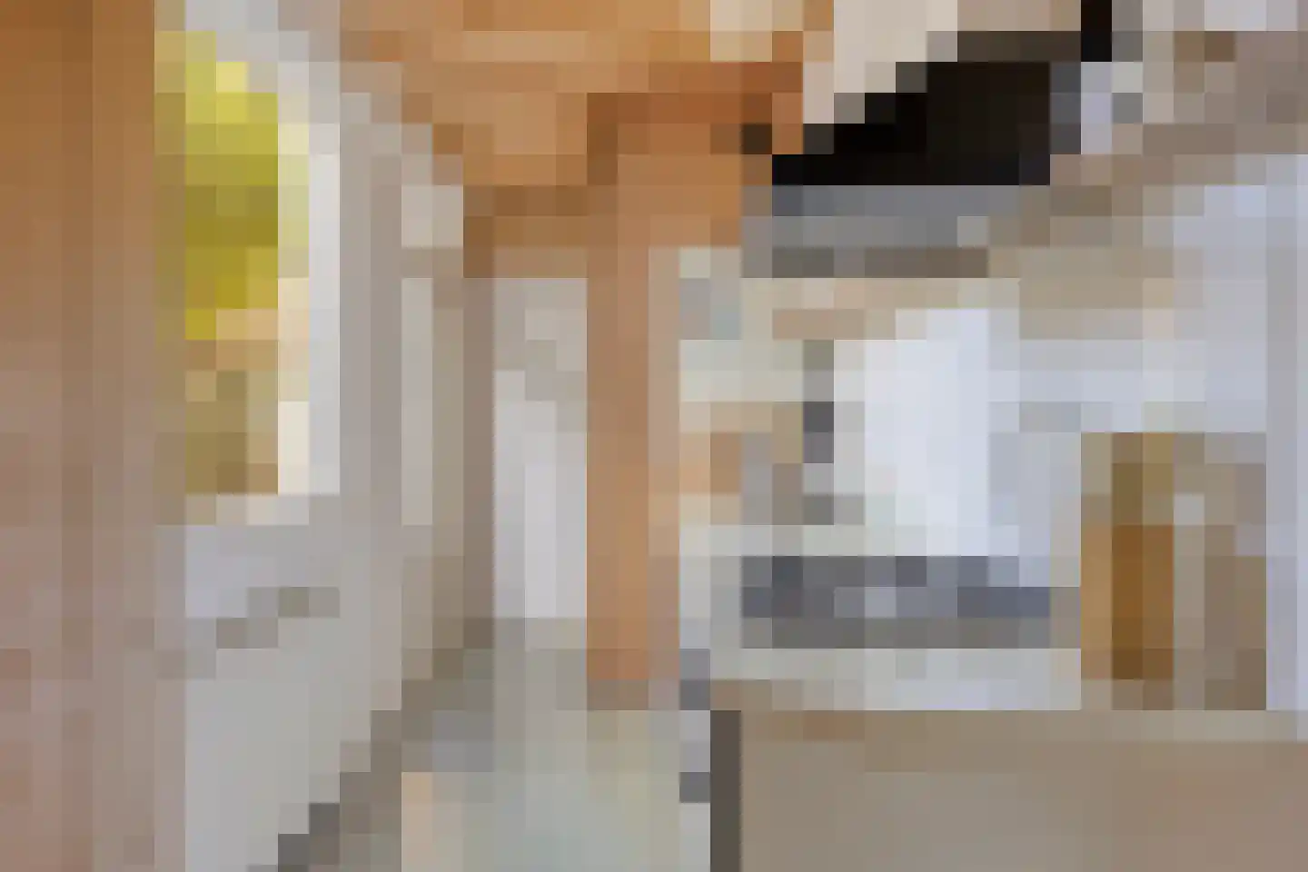 Druivenlaan 28 Alkmaar thumbnail 4
