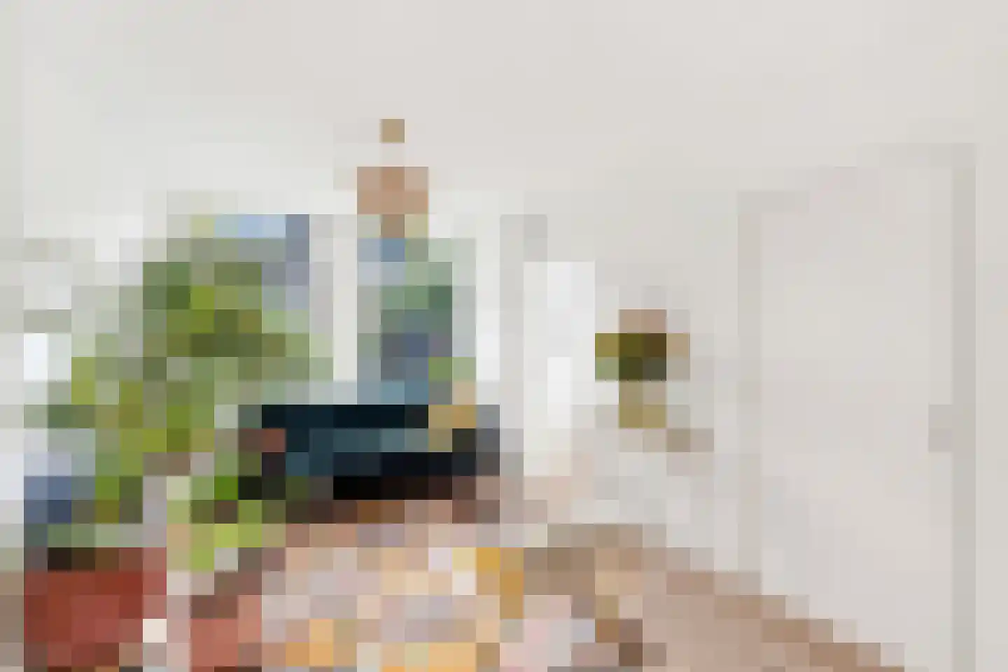 Druivenlaan 4 Alkmaar thumbnail 11