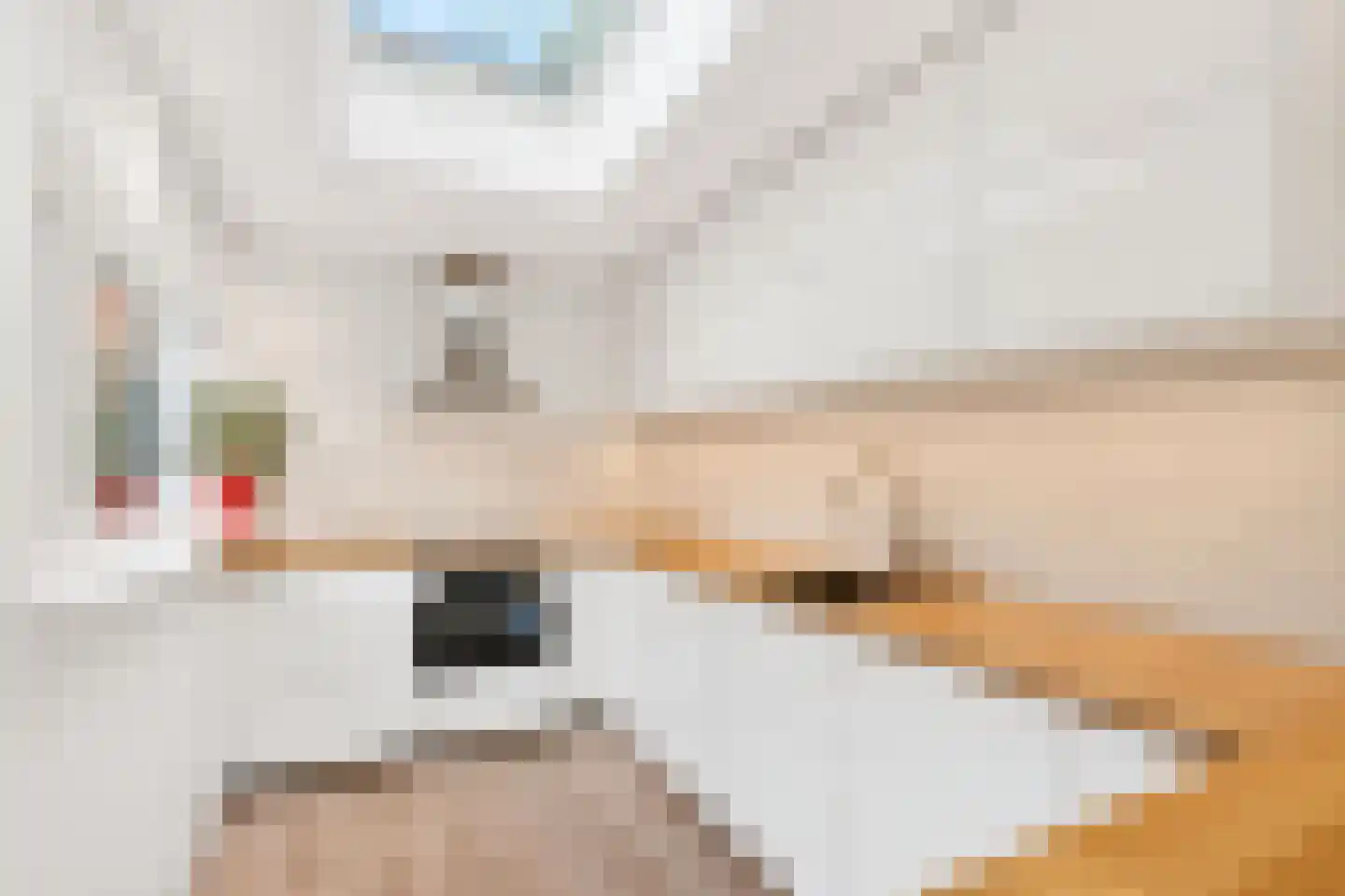 Druivenlaan 4 Alkmaar thumbnail 16