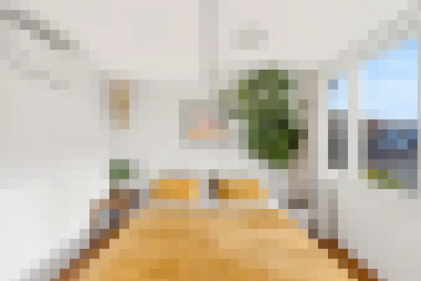 Druivenlaan 4 Alkmaar thumbnail 22
