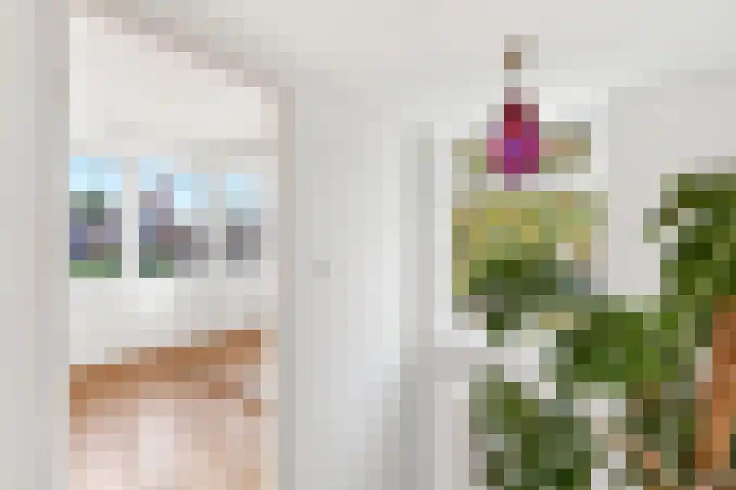 Druivenlaan 4 Alkmaar thumbnail 31